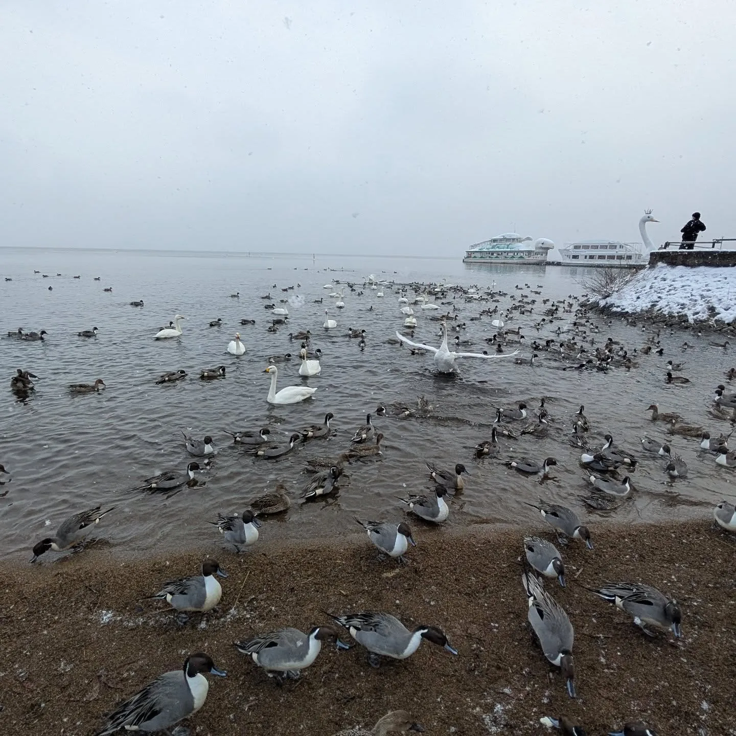 5日より、新たな気持ちで業務を開始いたしました。